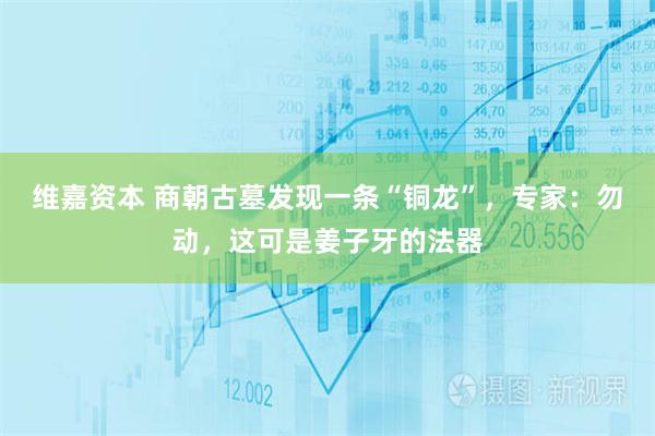 维嘉资本 商朝古墓发现一条“铜龙”，专家：勿动，这可是姜子牙的法器