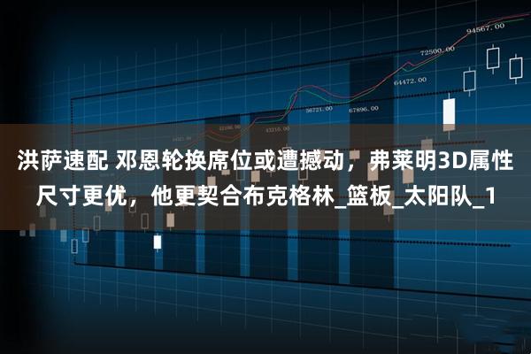 洪萨速配 邓恩轮换席位或遭撼动，弗莱明3D属性尺寸更优，他更契合布克格林_篮板_太阳队_1